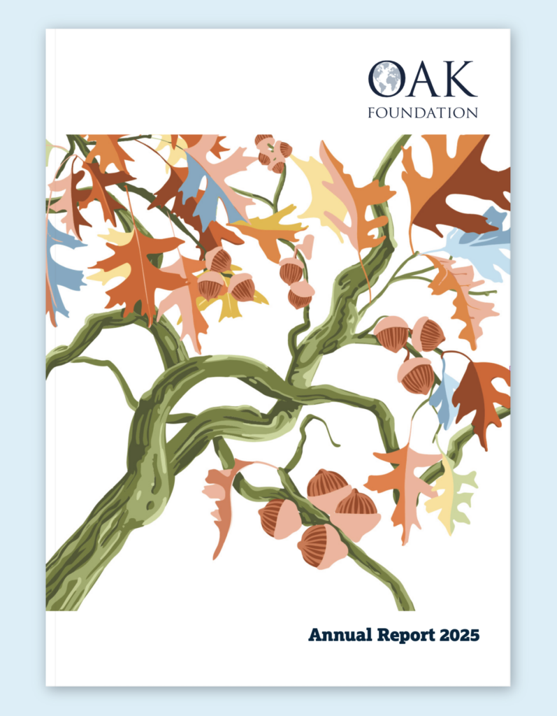 Portada del informe anual 2025 de Oak Foundation